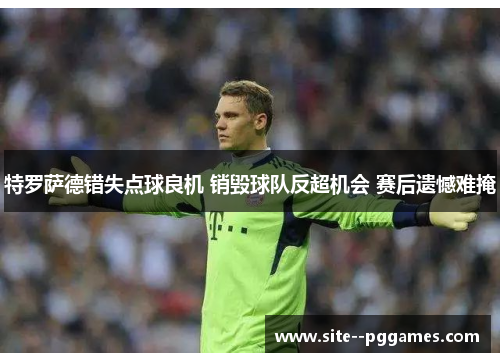 特罗萨德错失点球良机 销毁球队反超机会 赛后遗憾难掩
